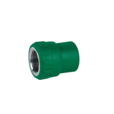 20-P2135IB-005 CONECTOR HEMBRA INS. BRONCE PPR VERDE D20